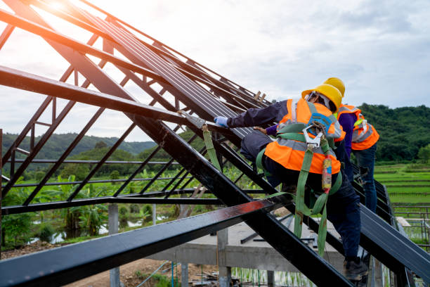 Best Roof Gutter Cleaning  in Arlington, TX